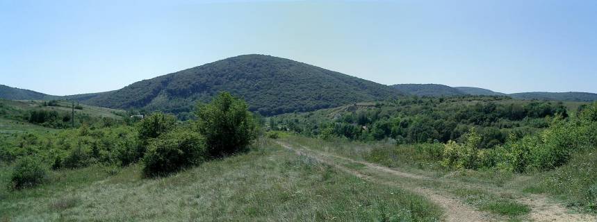 bb207.jpg