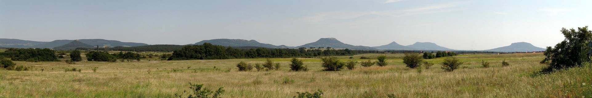 bb239.jpg