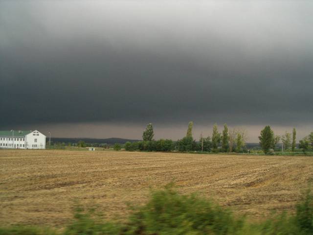 bb264.jpg