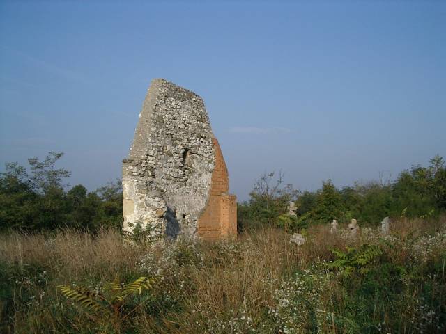 et3101.jpg