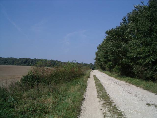 et3112.jpg
