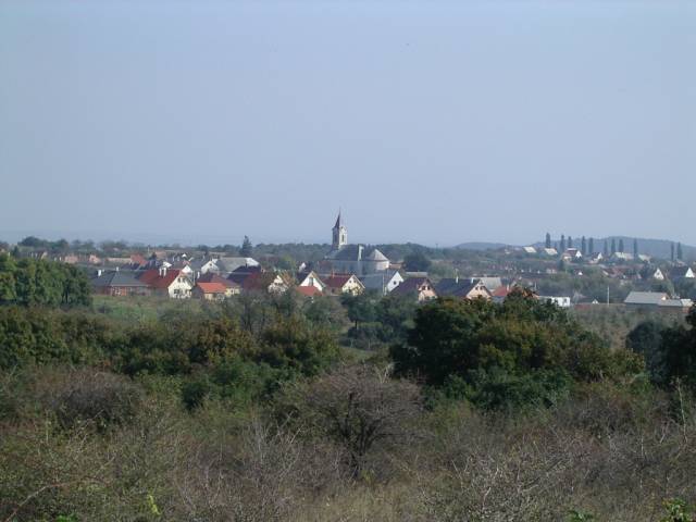 et3113.jpg