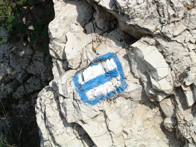 et3122.jpg