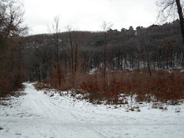 egt0104.jpg