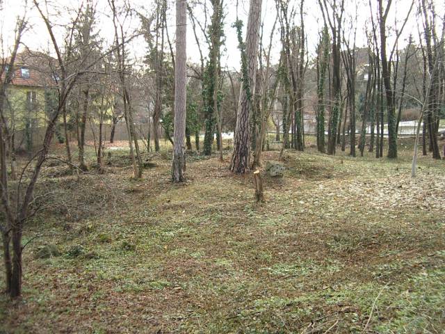egt0115.jpg