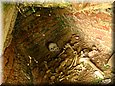 et0550.jpg