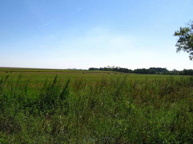et1114.jpg