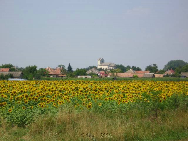 et1352.jpg