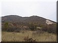 et2515.jpg
