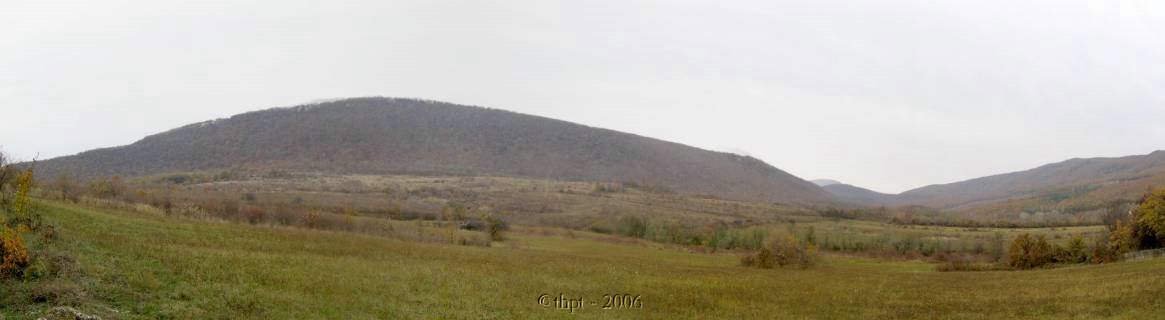 et2511.jpg