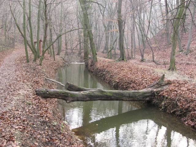 et2708.jpg