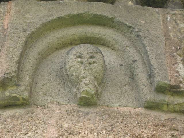 egt1339.jpg