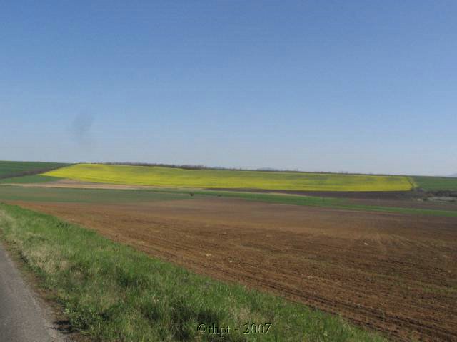 kt0208.jpg