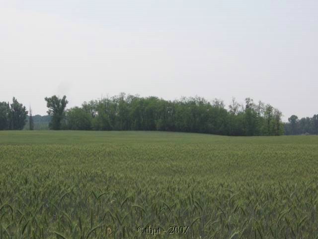 et0708.jpg