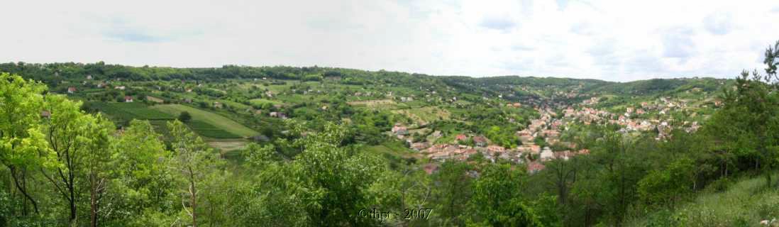 kt09113.jpg