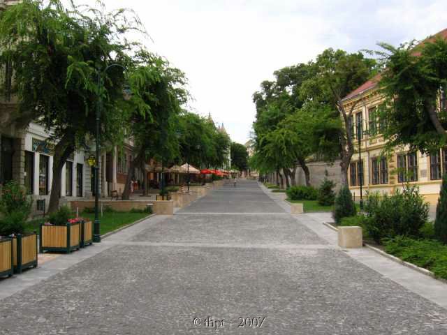 kt09118.jpg