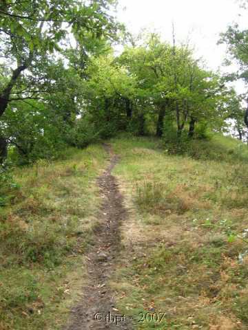 egt2006.jpg