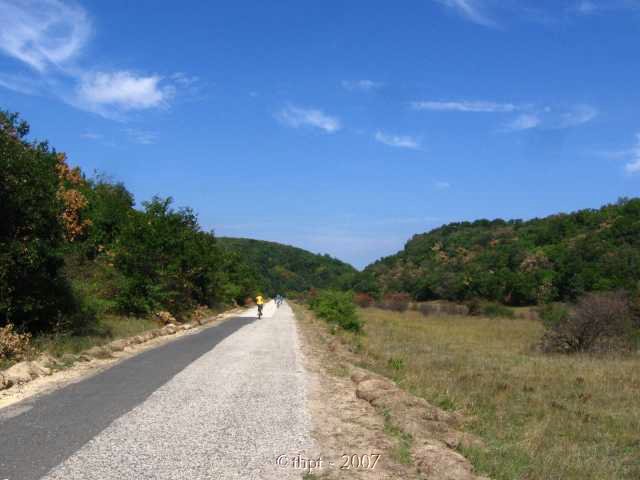 et1408.jpg