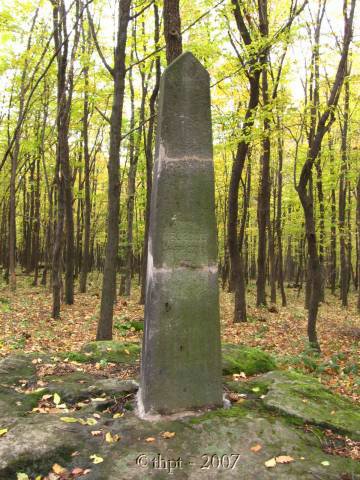 egt2423.jpg
