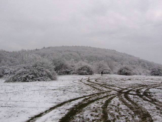 egt2733.jpg