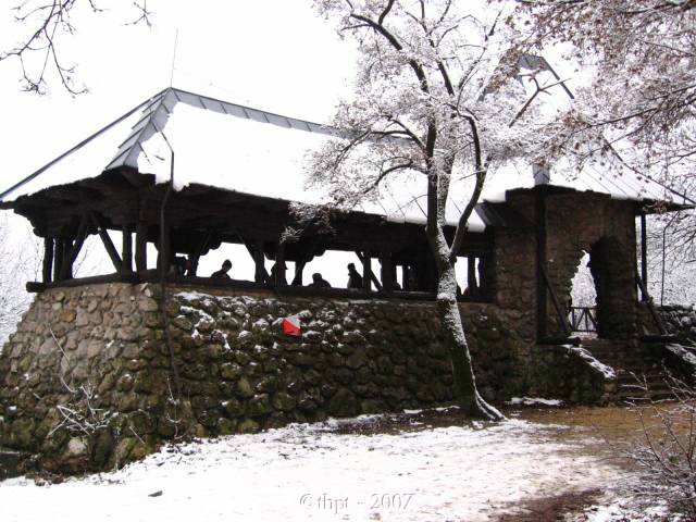 egt2739.jpg