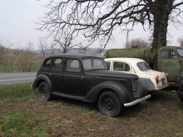 egytt0609.jpg