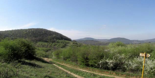 egytt0908.jpg