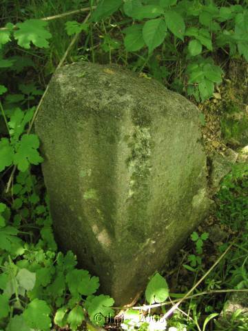 et0929.jpg