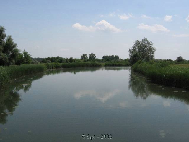 kt04005.jpg