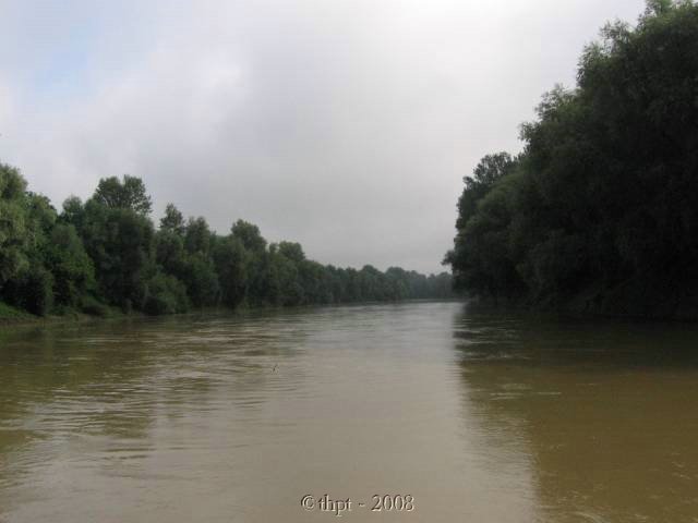 et12083.jpg