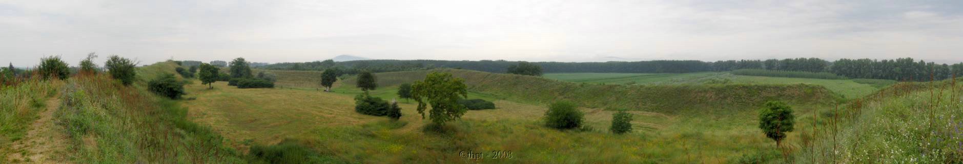 et12195.jpg