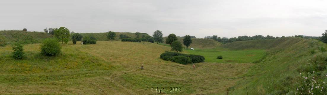 et12197.jpg
