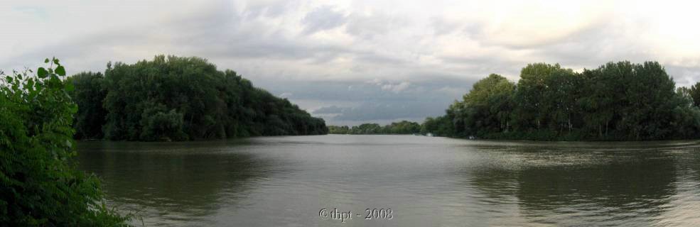 et12223.jpg