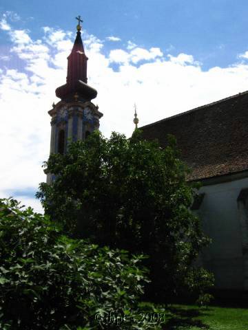 et1407.jpg