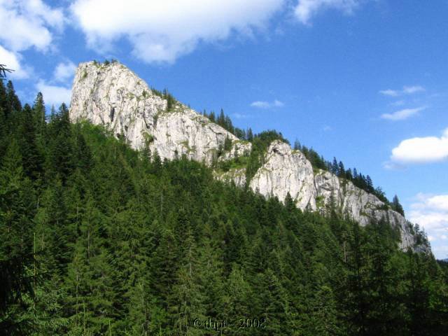egt06070.jpg