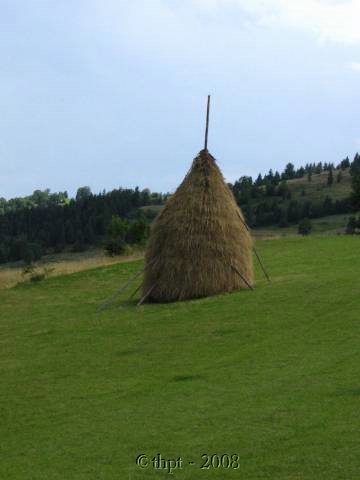 egt06110.jpg