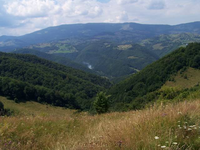 egt06178sz.jpg