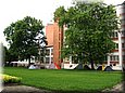kt01024.jpg