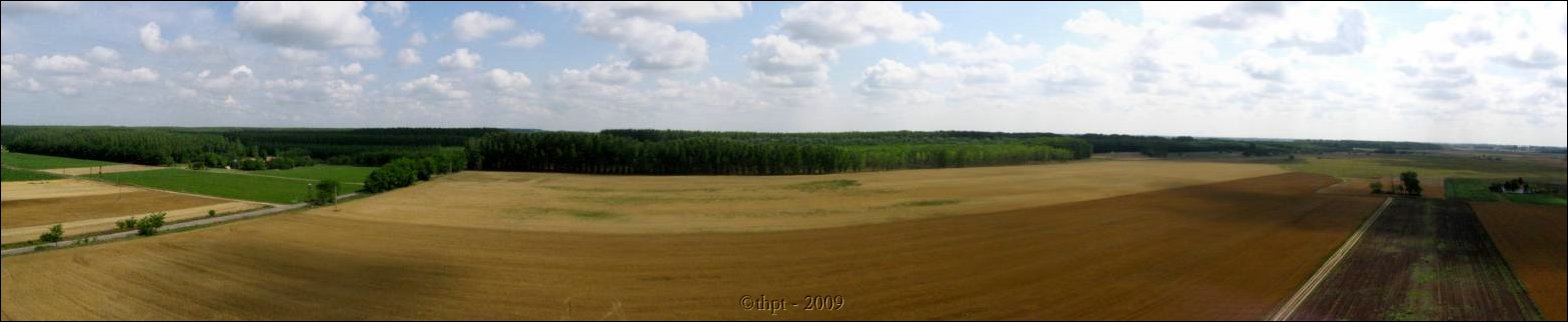 kt01045.jpg