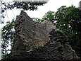 et1133.jpg