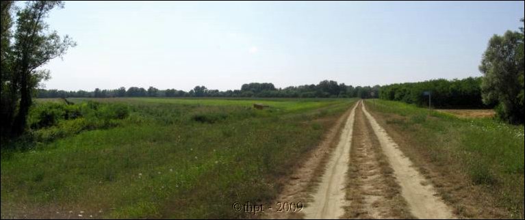 et14090.jpg