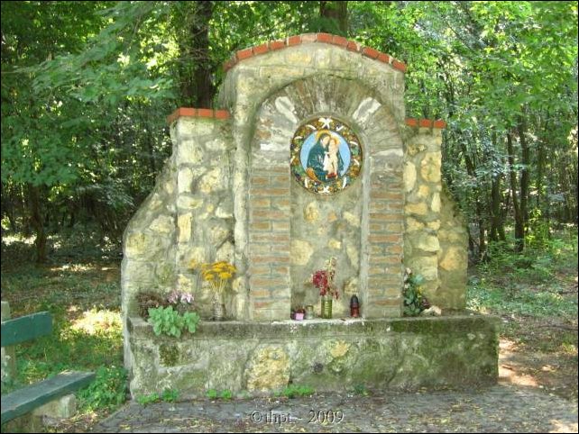 et14118.jpg