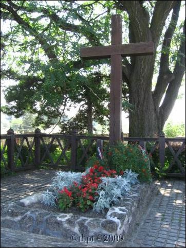 egt0435.jpg