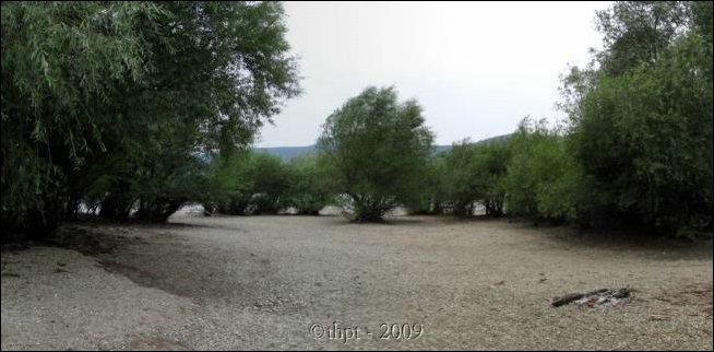evt0154.jpg