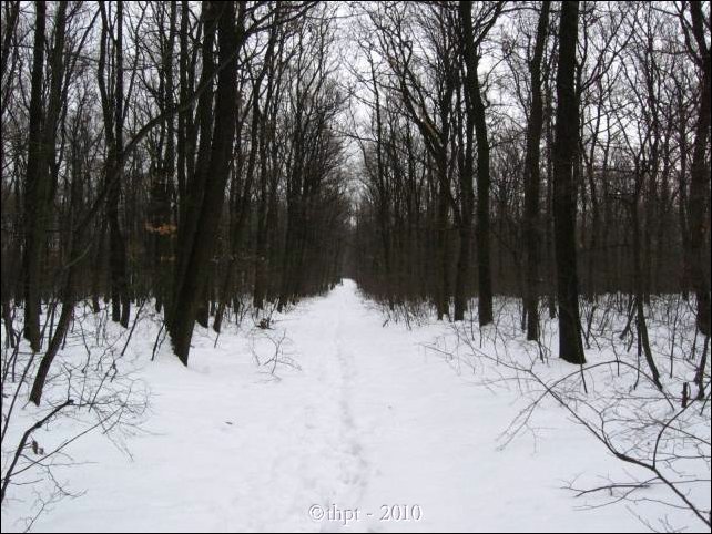egt0115.jpg