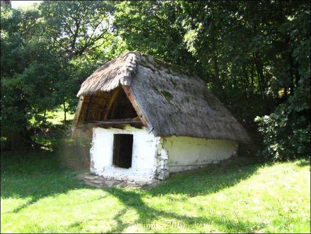 et07056.jpg