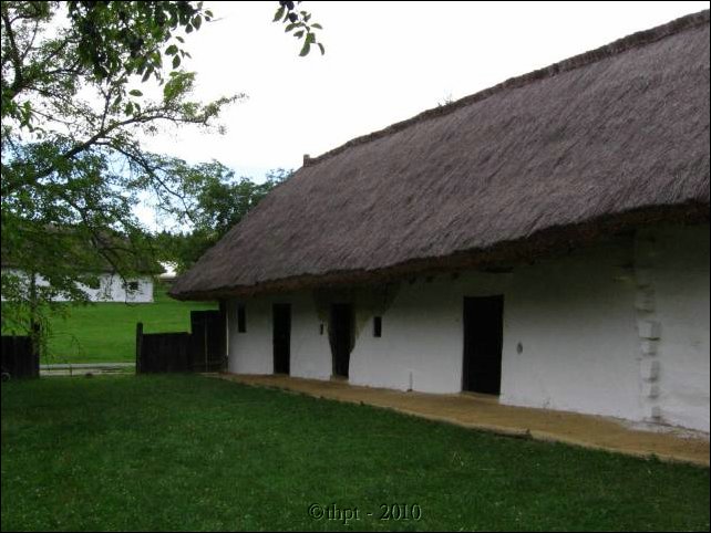 et07126.jpg