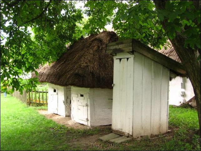 et07140.jpg