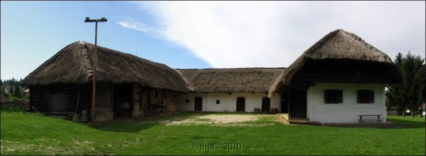 et07158.jpg