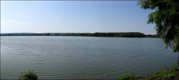 et0827.jpg